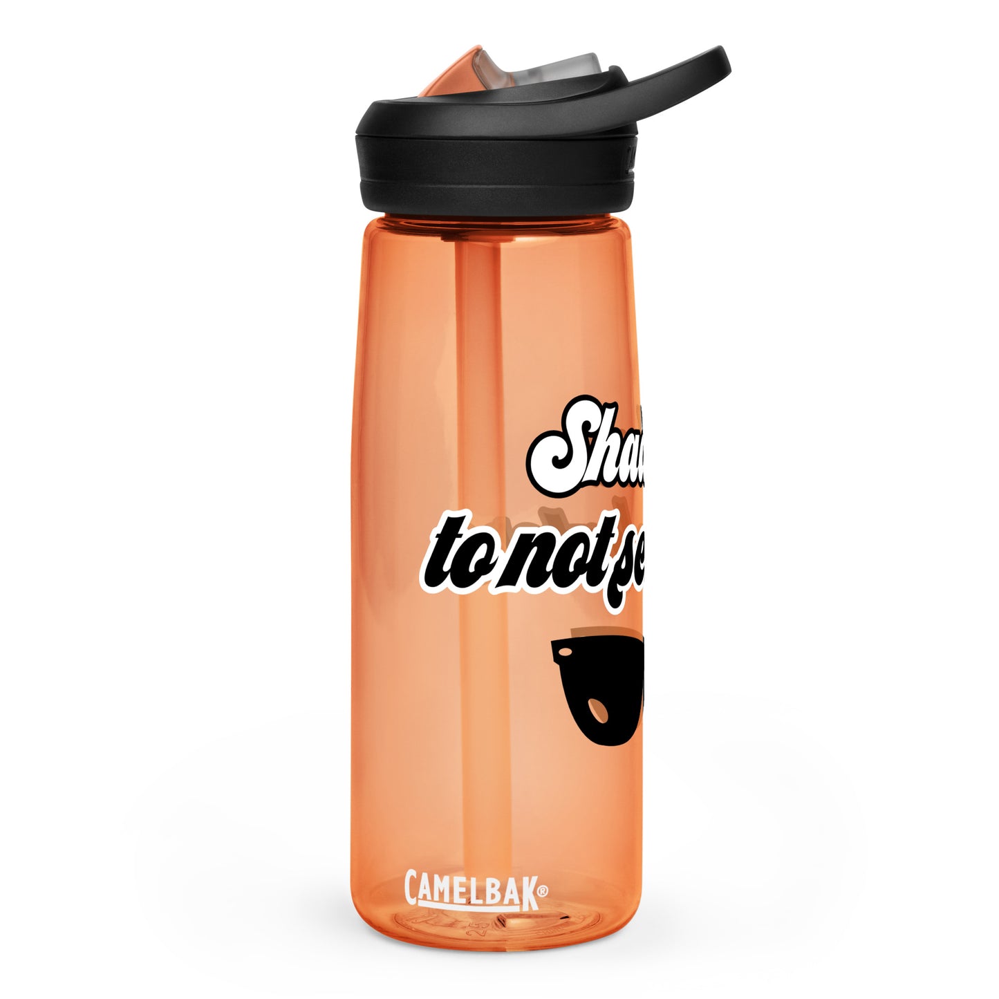 Sports water bottle